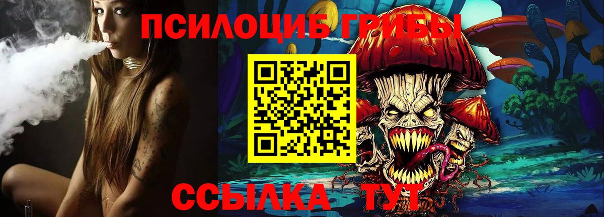 Котовск  Псилоцибиновые грибы Psilocybine cubensis  Вход с VPN  сколько стоит  Псилоцибиновые грибы прущие грибы 